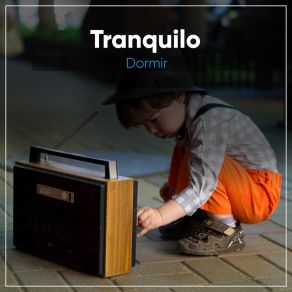 # Tranquilo Dormir album cover