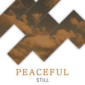 # Peaceful Still album cover