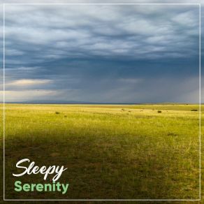 # Sleepy Serenity album cover