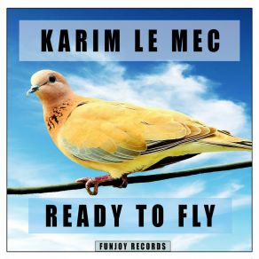 Ready To Fly album cover
