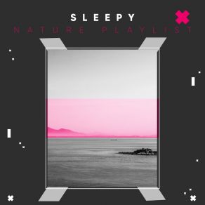 # Sleepy Nature Playlist album cover