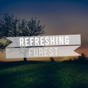 # Refreshing Forest album cover