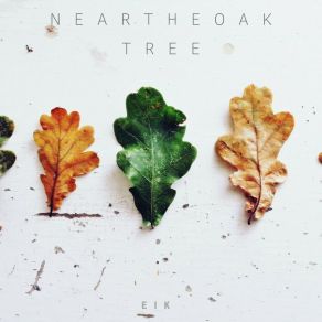 Near The Oak Tree album cover