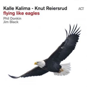 Flying Like Eagles album cover