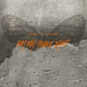 Born To Change album cover
