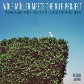Wolf Müller Meets The Nile Project album cover