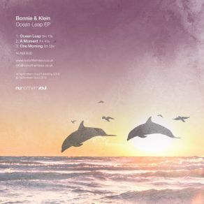 Ocean Leap EP (Original Mix) album cover
