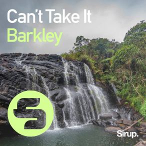 Can't Take It album cover