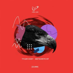 Meteorite album cover