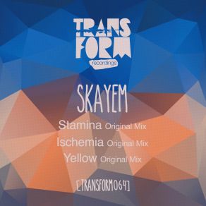 Stamina / Ischemia / Yellow (Original Mix) album cover