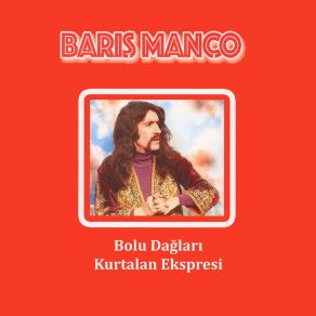 Bolu Dağları - Kurtalan Ekspresi album cover