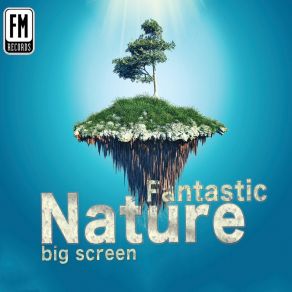 Fantastic Nature Big Screen album cover