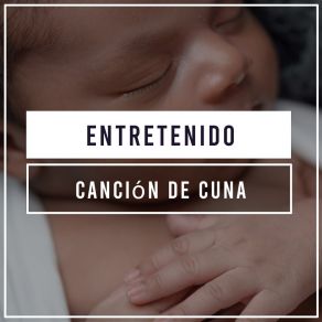 # Entretenido Canción De Cuna album cover