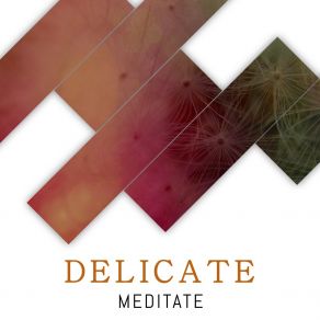 # Delicate Meditate album cover