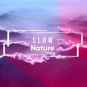 # Slow Nature album cover