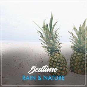 # Bedtime Rain & Nature album cover