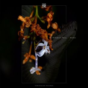 Uroboro album cover