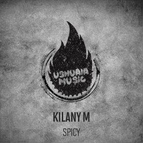 Spicy album cover