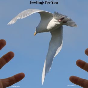 Feelings For You album cover