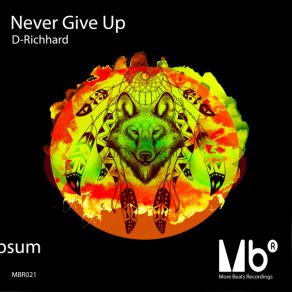 Never Give Up (Original Mix) album cover