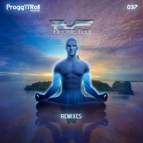 Electric Feel Remixes album cover