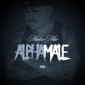 Alpha Male album cover