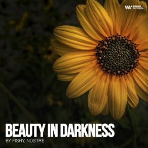 Beauty In Darkness (Maxi-Single) album cover