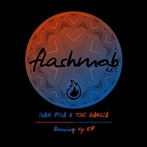 Burning Up (Maxi-Single) album cover