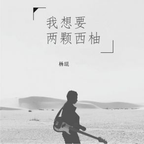 我想要两颗西柚 album cover