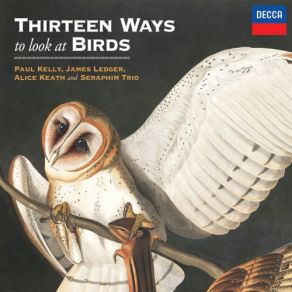 Thirteen Ways To Look At Birds album cover