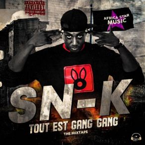 Tout Est Gang Gang album cover