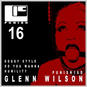 PUNISH 16 album cover