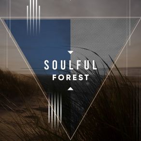 # Soulful Forest album cover