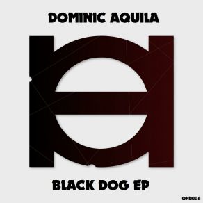 Black Dog album cover