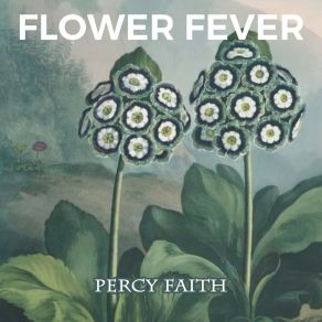 Flower Fever album cover