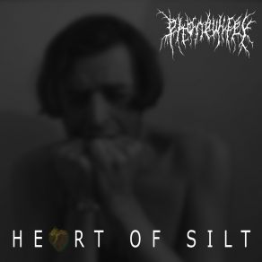 Heart Of Silt album cover