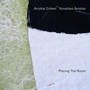 Playing The Room album cover