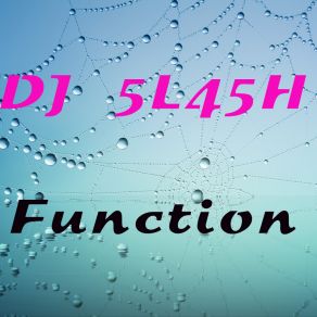 Function (Original Mix) album cover