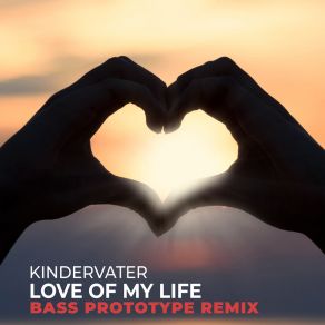 Love Of My Life (Bass Prototype Remix) album cover