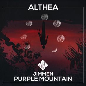 Purple Mountain album cover