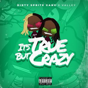 It's True But Crazy album cover