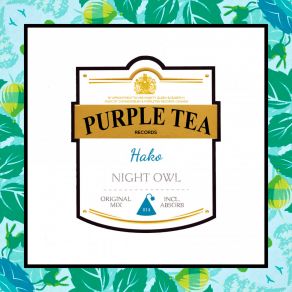 Night Owl album cover