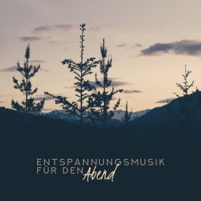 Entspannungsmusik Für Den Abend: Jazz Zusammenstellung Der Besten Instrumentalmusik Zur Entspannung Und Erholung Für Den Abend album cover