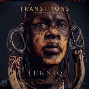 Transitions Second Chapter album cover