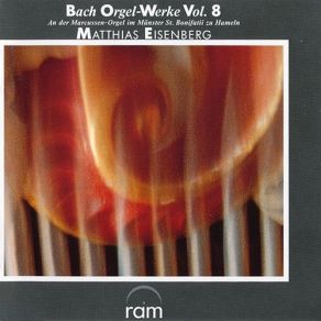 Bach - Orgel-Werke Vol. 8 - Eisenberg album cover