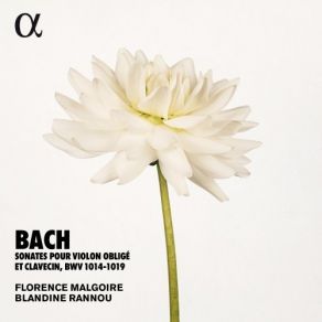 Bach - Sonates Pour Violon Et Clavecin Oblige, BWV 1014-1019 - Malgoire, Rannou album cover