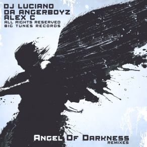 Angel Of Darkness (Remixes) album cover