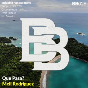 Que Pasa? album cover