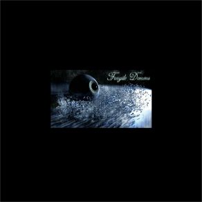Fragile Dreams album cover