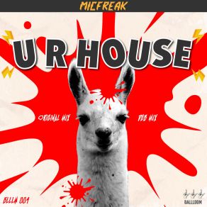 U R House album cover